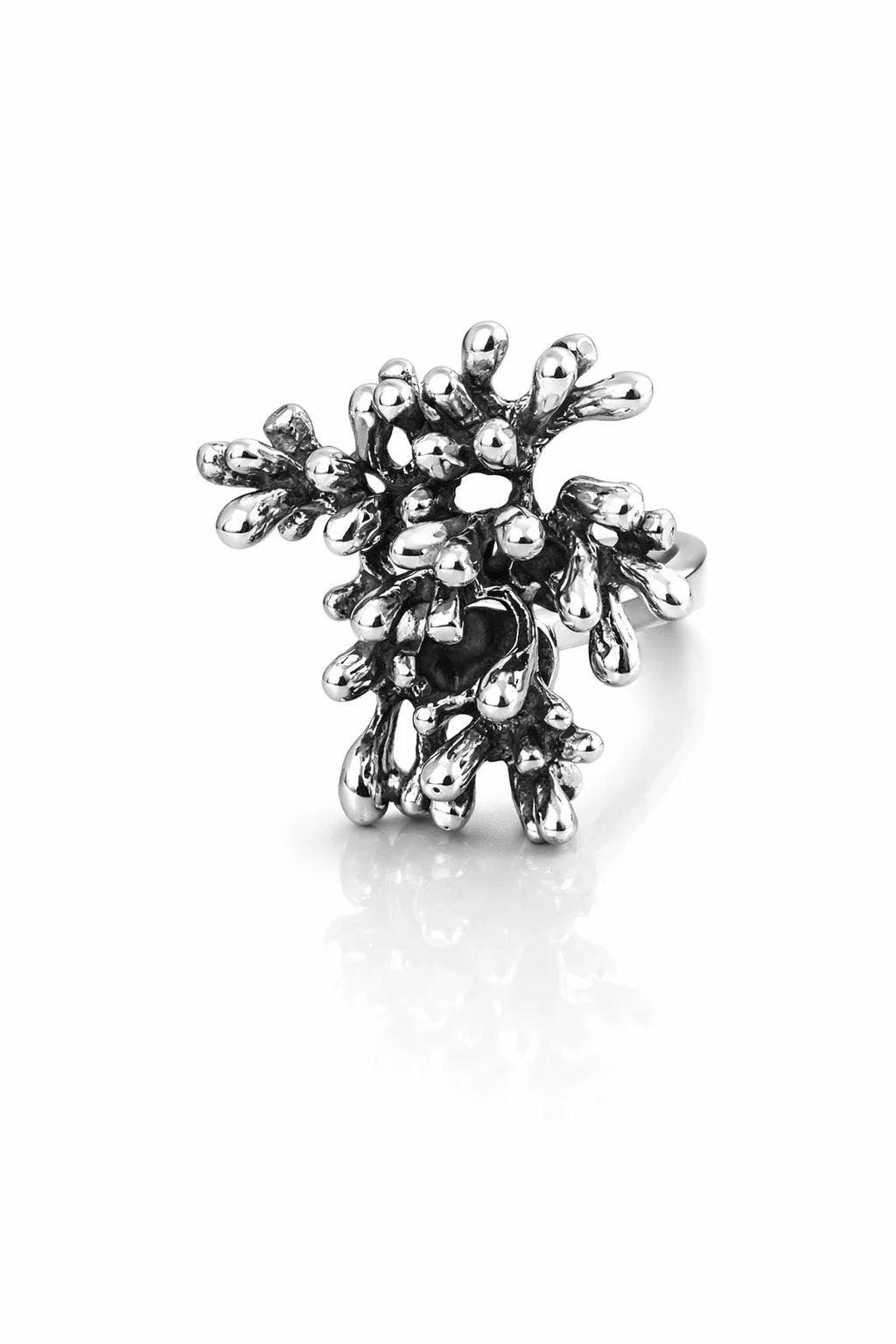 Anillo arrecife