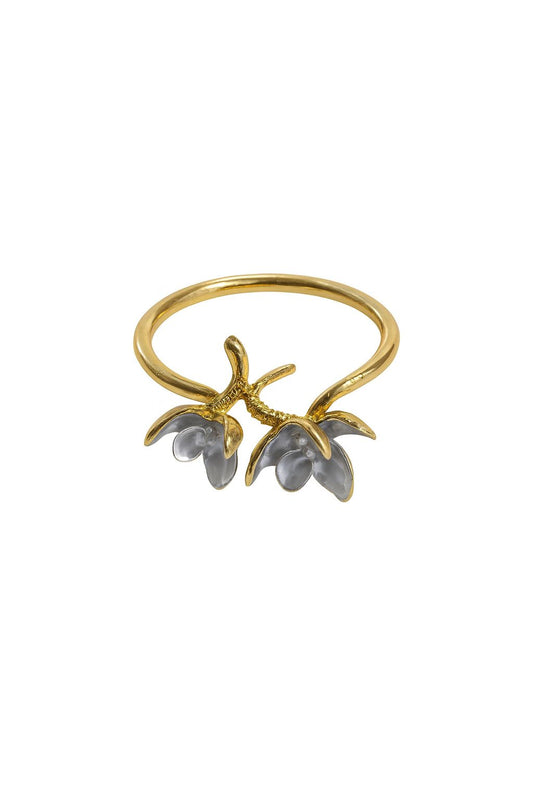 Anillos de dos flores