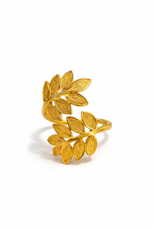 Anillo Ramal Largo