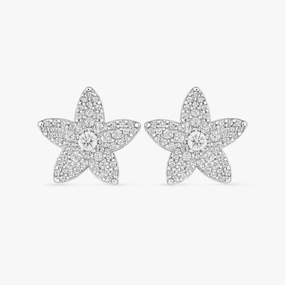 Aretes de estrella zirconia